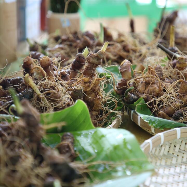 Thơm ngon tăng cường sức khoẻ